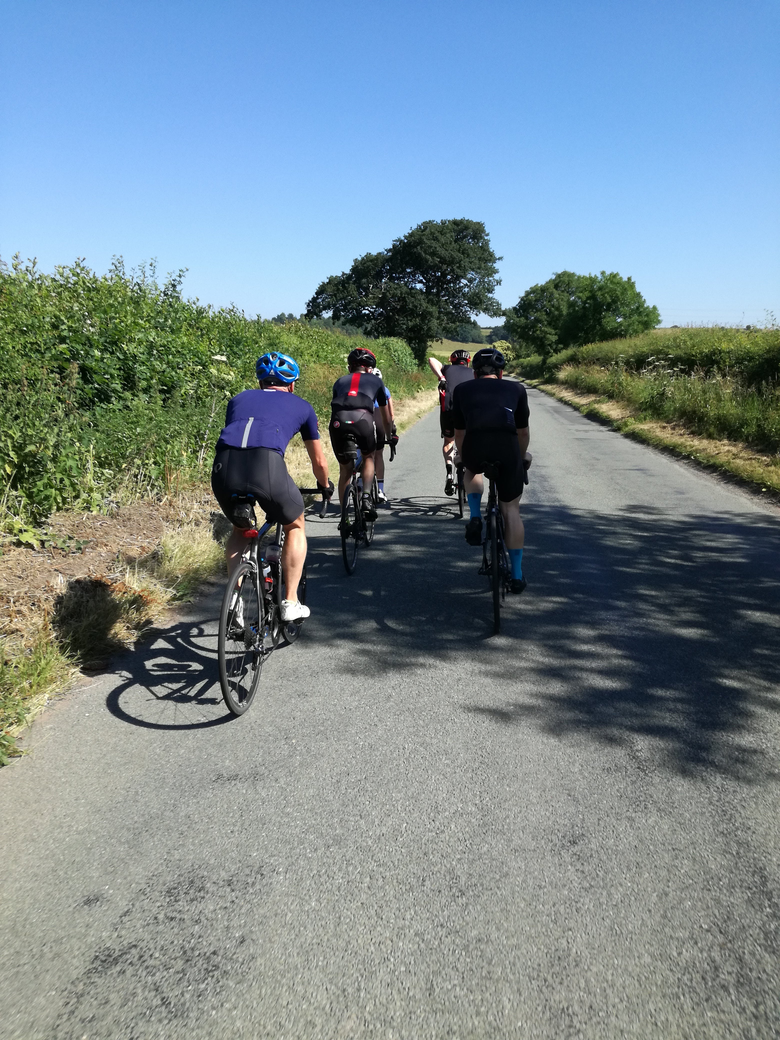 dav