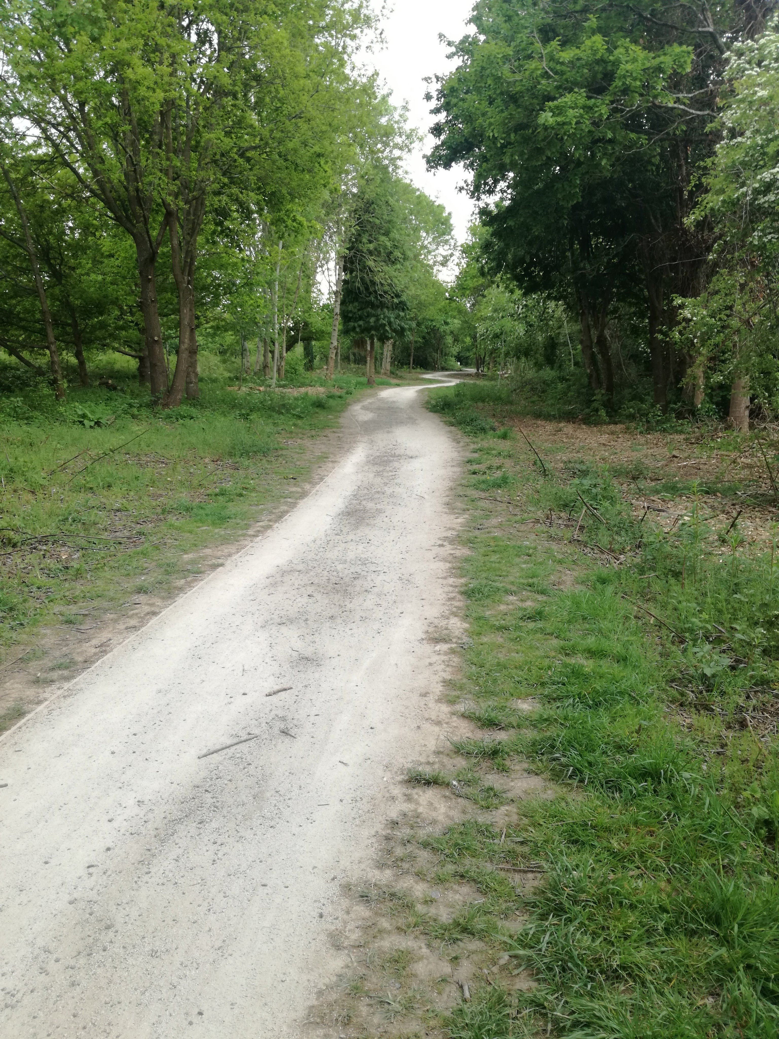 img_20200509_145023